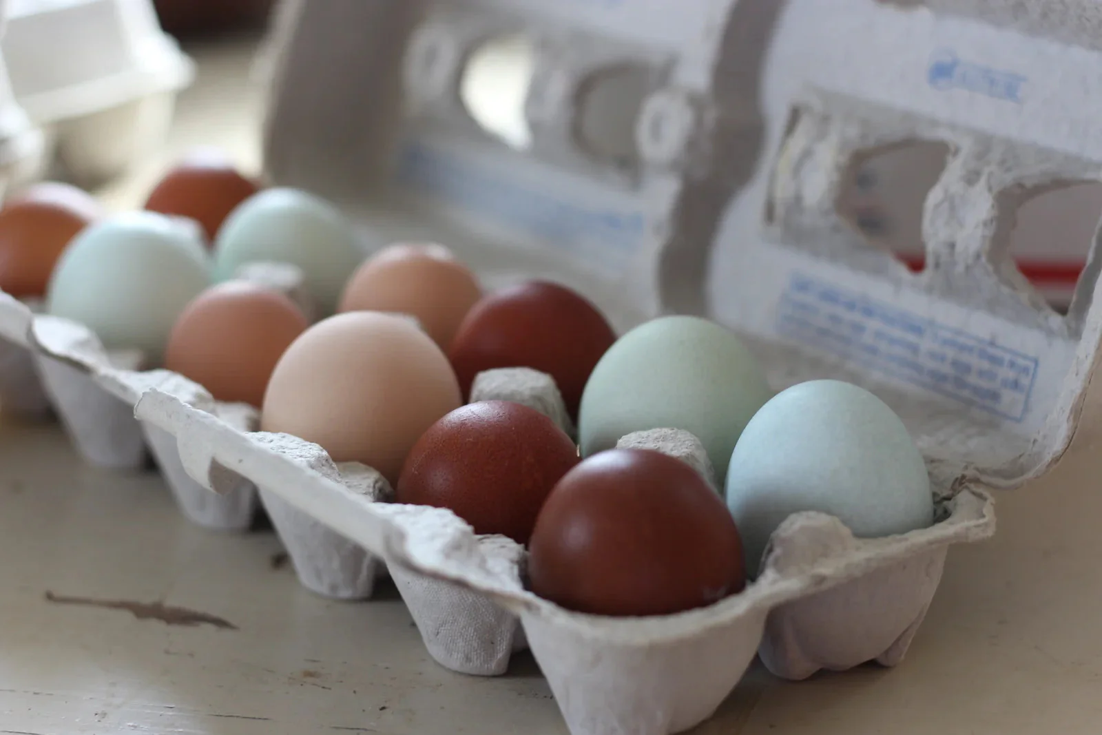 Coronation Sussex Fertile Hatching Eggs - Image 7