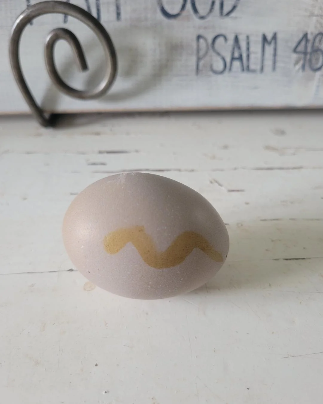 Olive Egger Started Pullet Hens "Dark Green Egg Layer" - Image 5